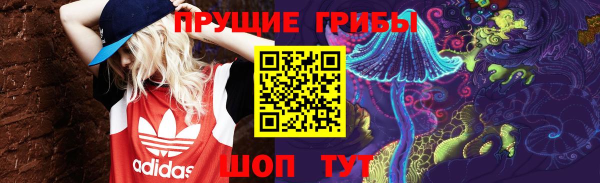 Псилоцибиновые грибы Cubensis  Вход с VPN  как найти   Краснокамск 